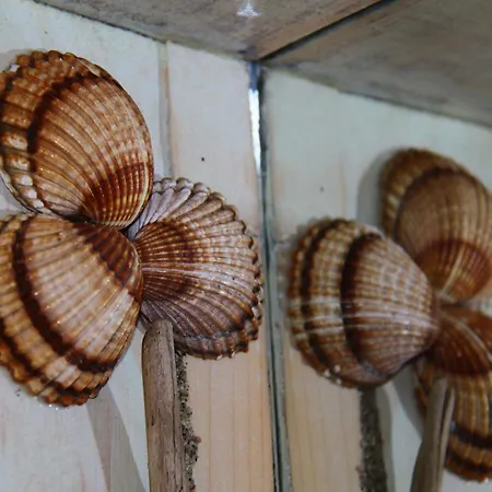 Fasoli Paralia Panteleimonos