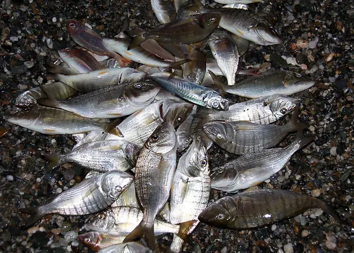 Fasoli Apartamento Paralia Panteleimonos